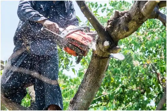 tree services Montgomery